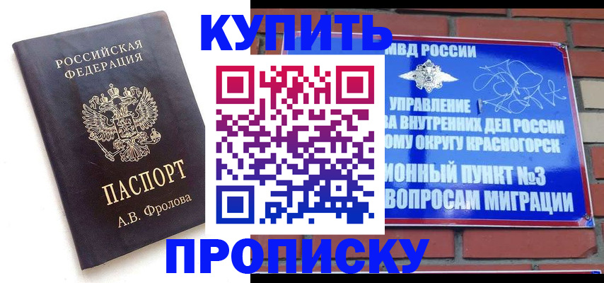 прописка поиск в Мончегорске